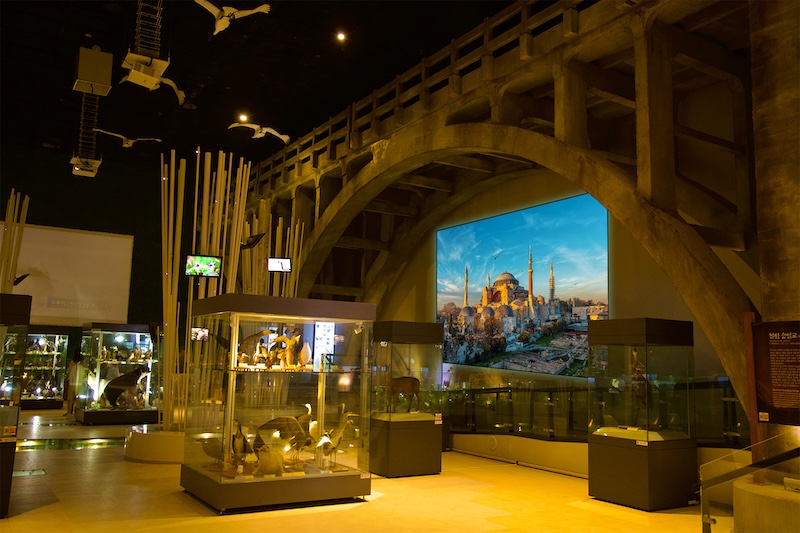 Screen Innovation BD Fusion ALR commercial   Roberta Lewis